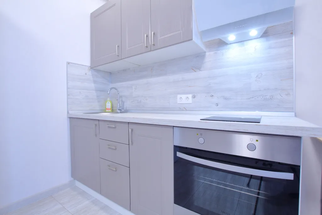 Метро Родина