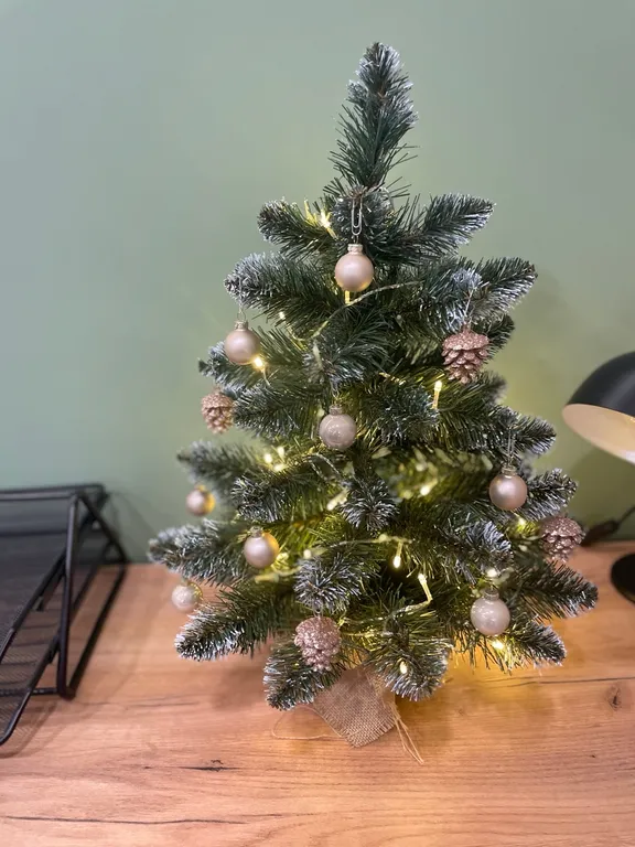 2-комнатная квартира в центре города