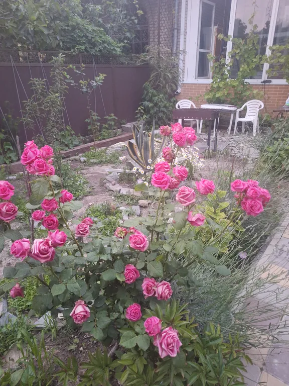 Уютный 2-комнатный дом в центре