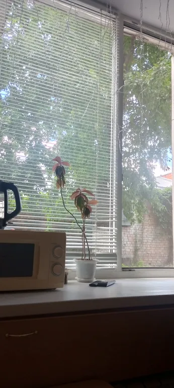 Квартира в историческом центре