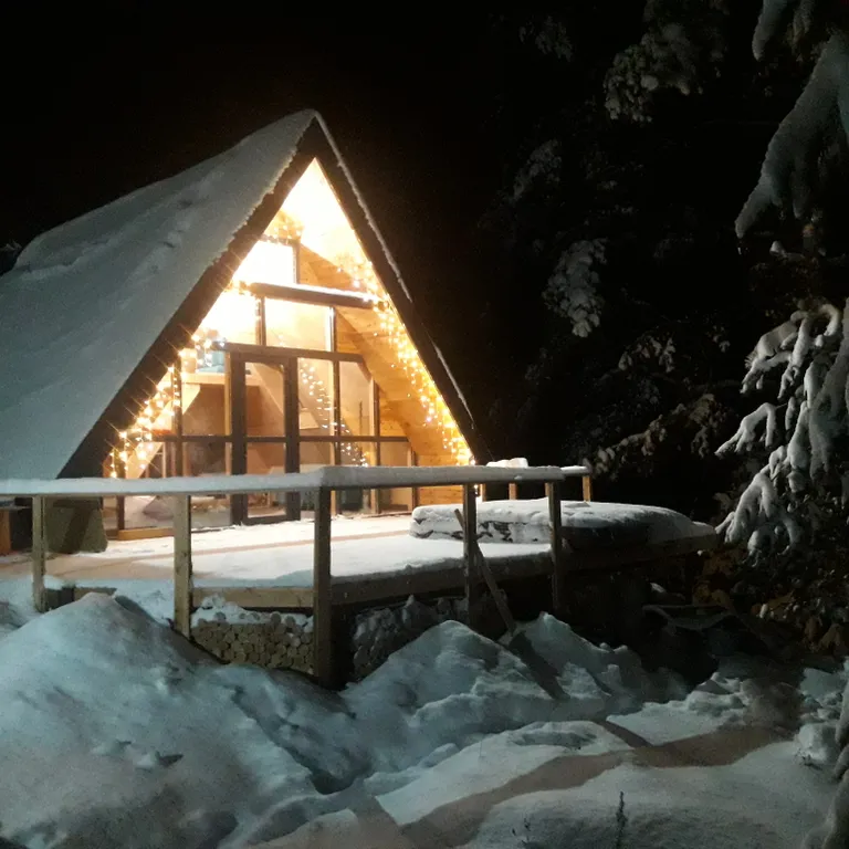 Уютный дом с баней и купелью в сосновом бору