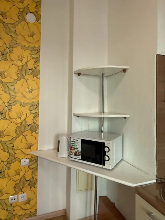 Уютная однокомнатная квартира