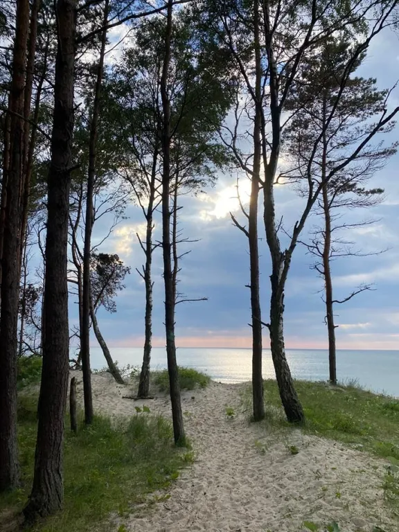 Уютная квартира у моря на Косе