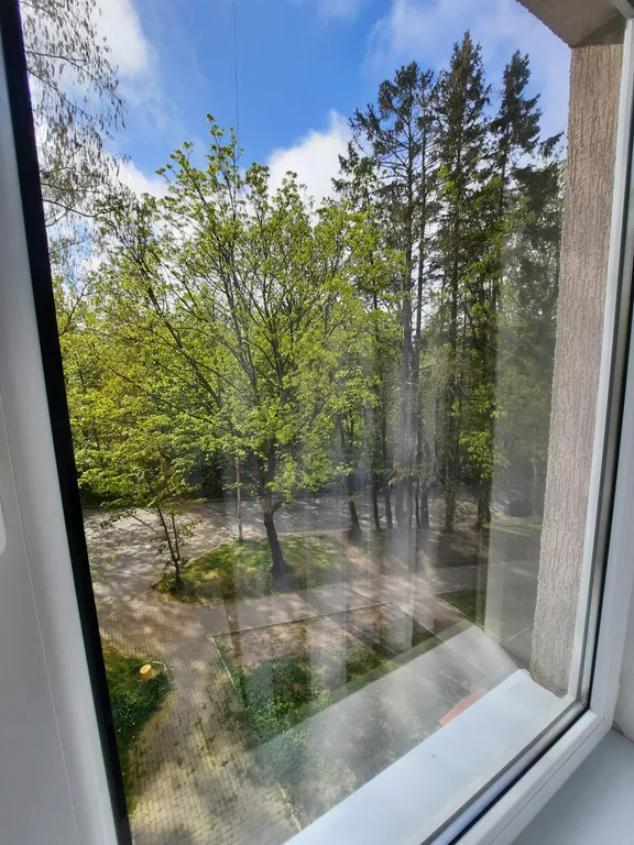 Квартира Уютная просторная квартира в тихом месте — Светлогорск