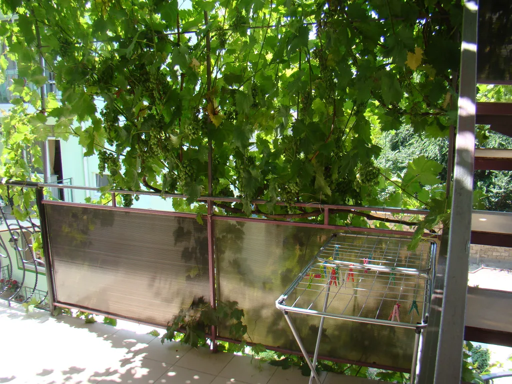 Квартира Лимонная комната — Феодосия