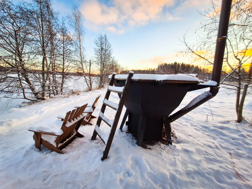Коттедж 3-комнатный Дом — Приладожское