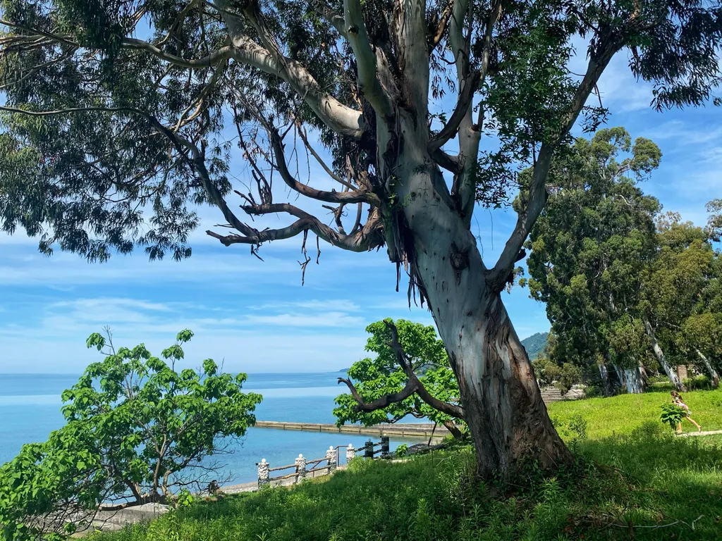 Домик 2-комнатный 5-местный