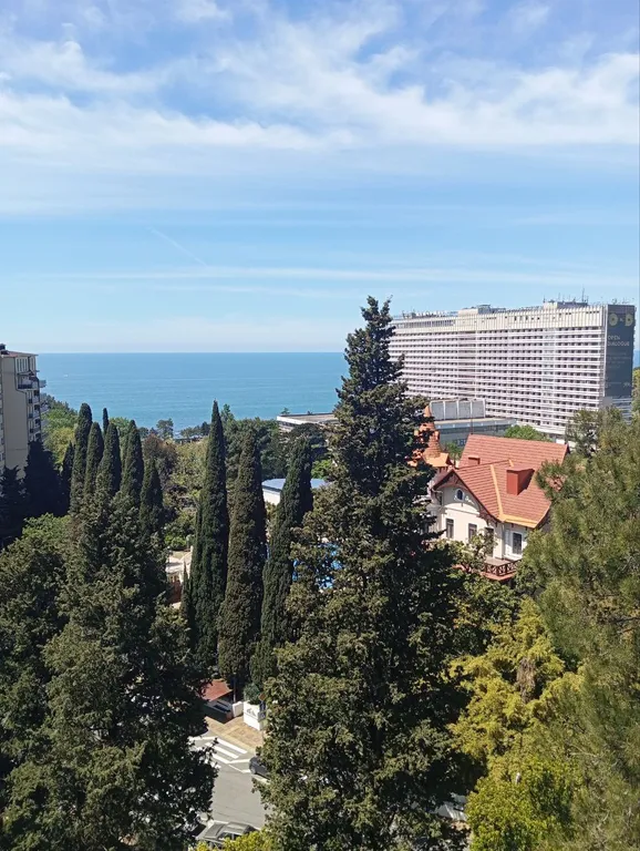 Студия возле цирка и дендрария