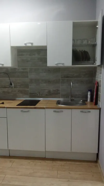 Уютные апартаменты с кухней