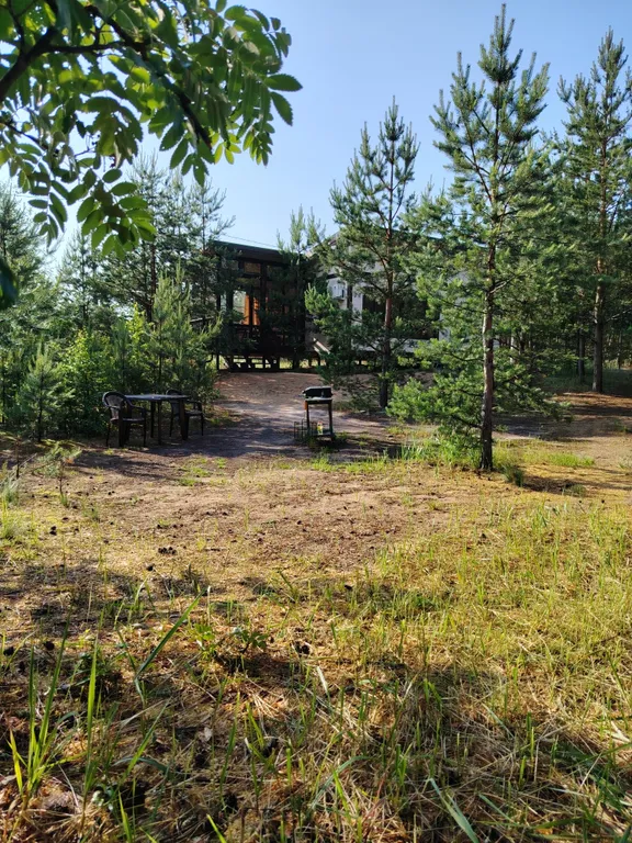 Гостевой дом Сосны Кельцы