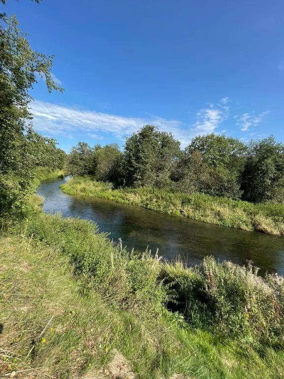 Коттедж Атмосферный Лесной домик, баня на дровах, чан на берегу реки в лесу — Старово