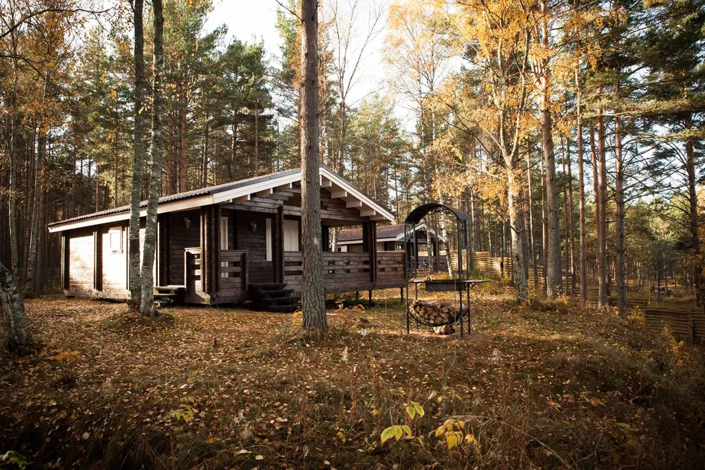 Коттедж 3-комнатный Дом — Запорожское