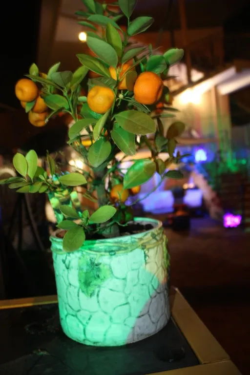 2-х комнатная квартира студия 45кв.м