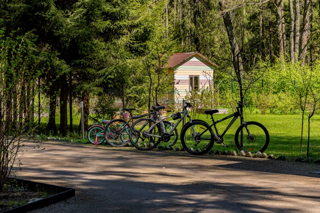 Дом на 1 линии у Финского залива