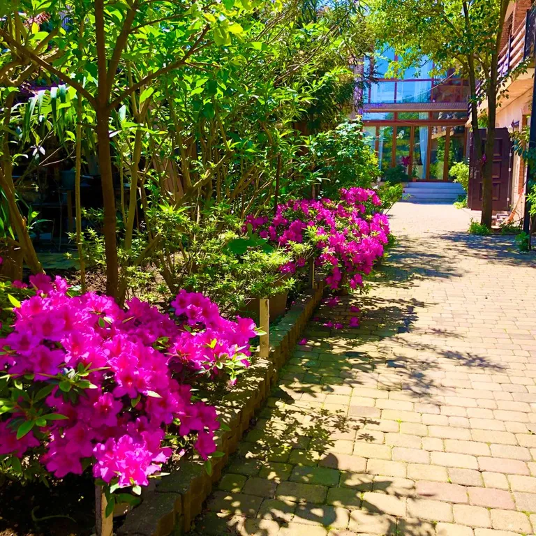 1-комнатный Дом