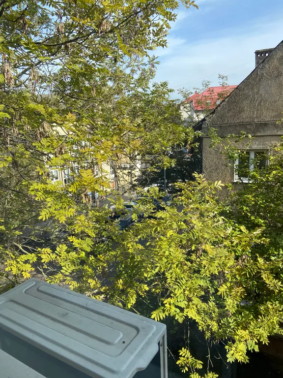 Квартира Уютная квартира в центре города — Калининград