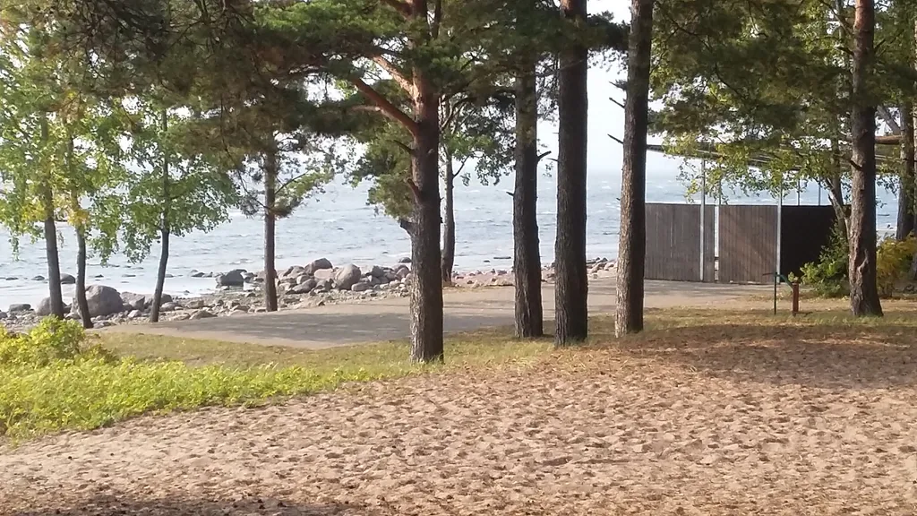 Коттедж Академическая дача (коттедж) у Финского залива, Зеленогорск-Смолячково — Санкт-Петербург