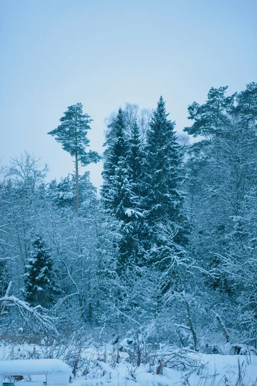 Арт-баня дюпло возле реки в окружении реликтового леса