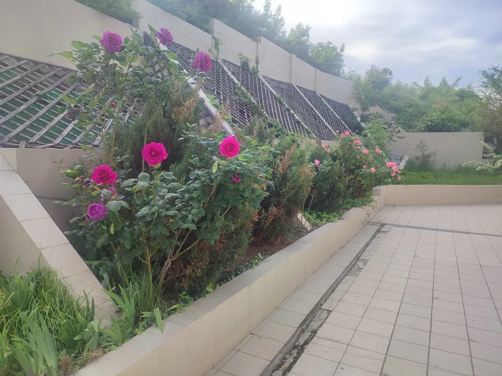 Уютная квартира у моря