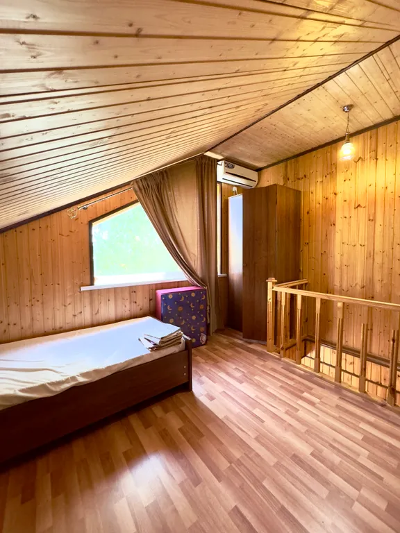 Домик у моря, в единственном лиановом лесу в России