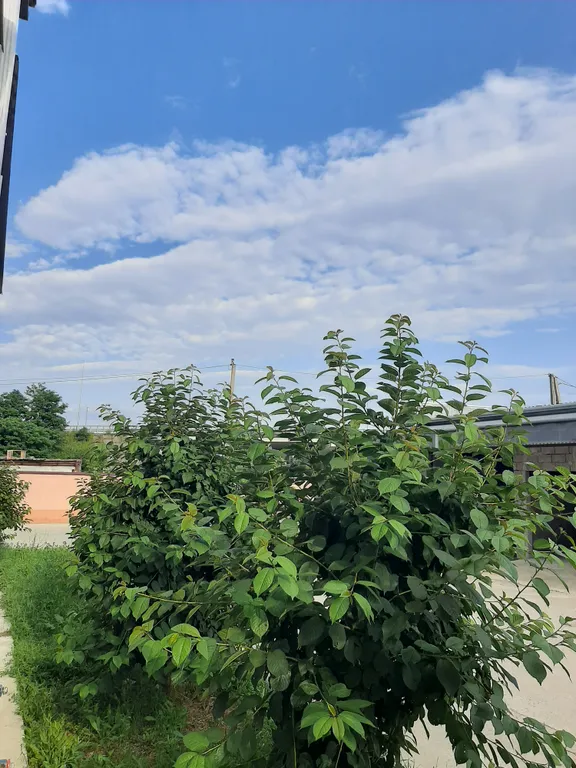 Новая просторная квартира в экологичном микрорайоне Вишнёвый сад