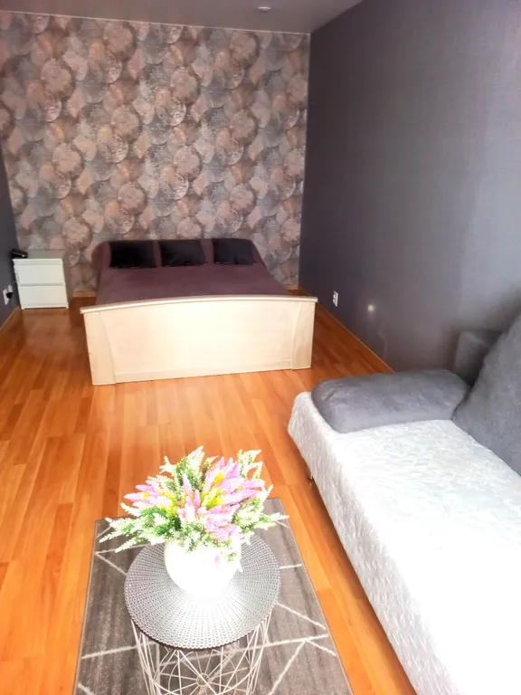 Уютная квартира рядом с аэропортом Толмочево