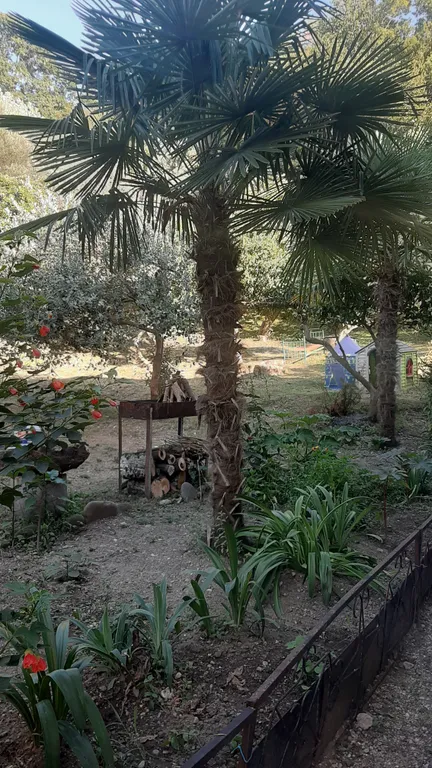 Номер с садом у моря