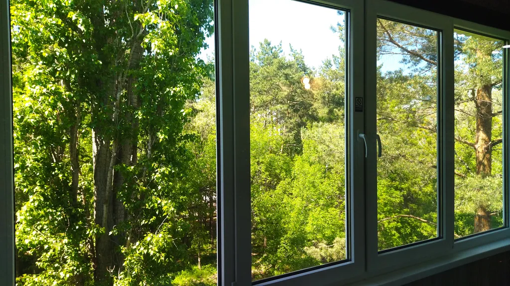 Уютная студия с красивым видом у леса