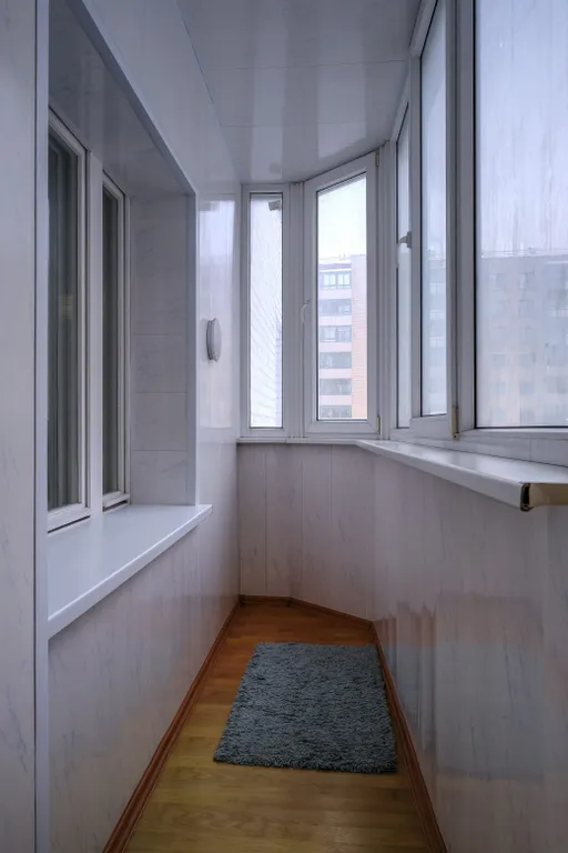 Просторные евродвухкомнатные апартаменты у Кафедрального собора