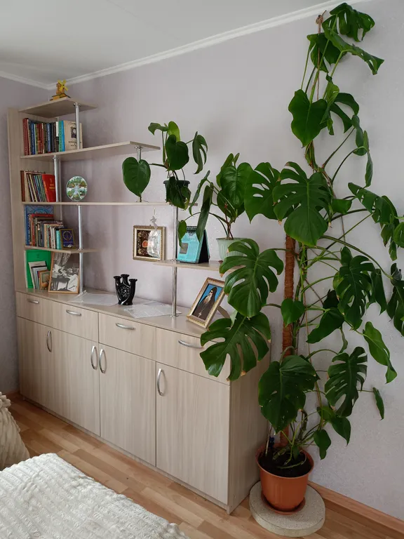 Милости просим в наше дивное Дивеево