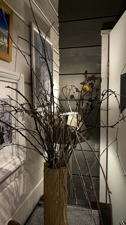 Дубльдом в сoснaх