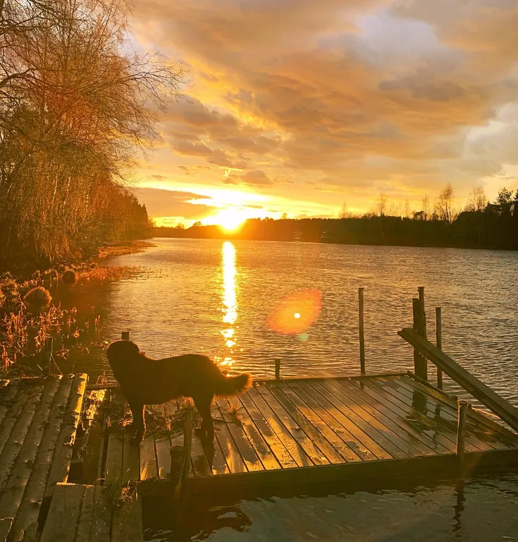 Нурми дом у реки