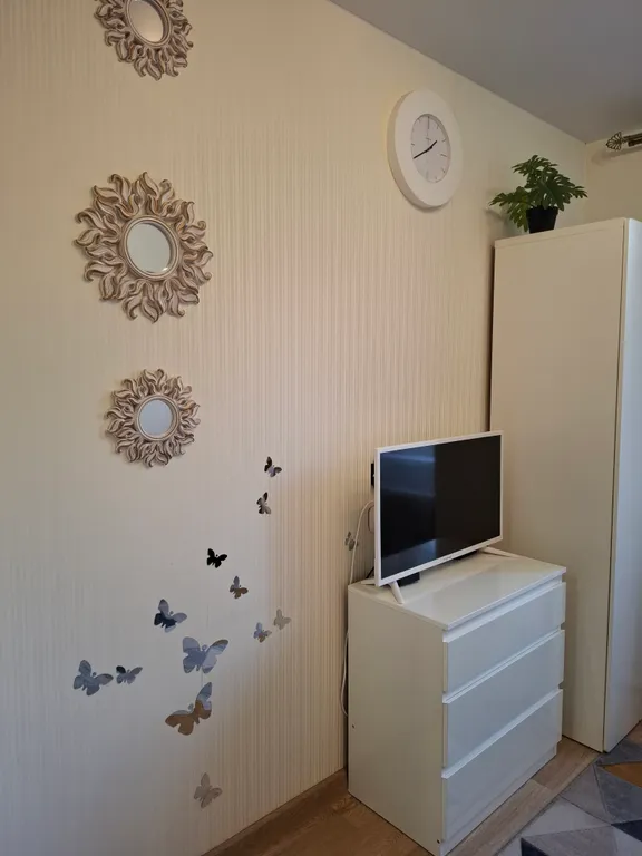 Комфортабельная студия в центральном районе