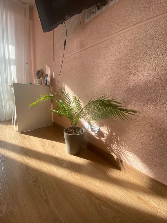 Элитная, новая однушка с авторским дизайном у песочного пляжа