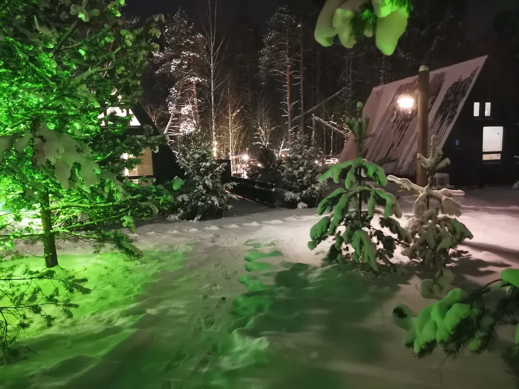 Коттедж А-фрейм в лесу в часе езды от Москвы — аренда посуточно в Раменское