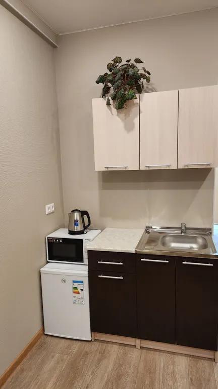 Апартамент Сказка