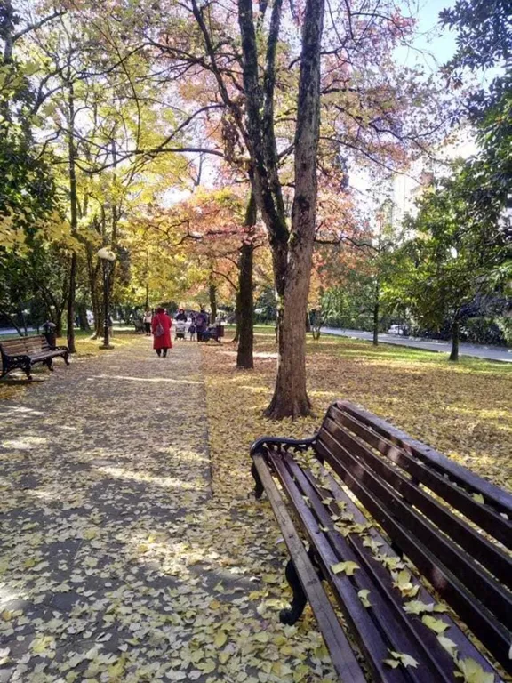 Квартира с элементами авторского декора в историческом центре города