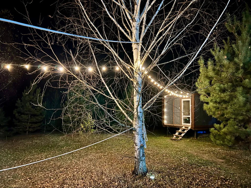 Стильный барн в соснах