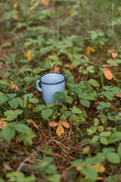 Хутор в лесу Розовый шмель