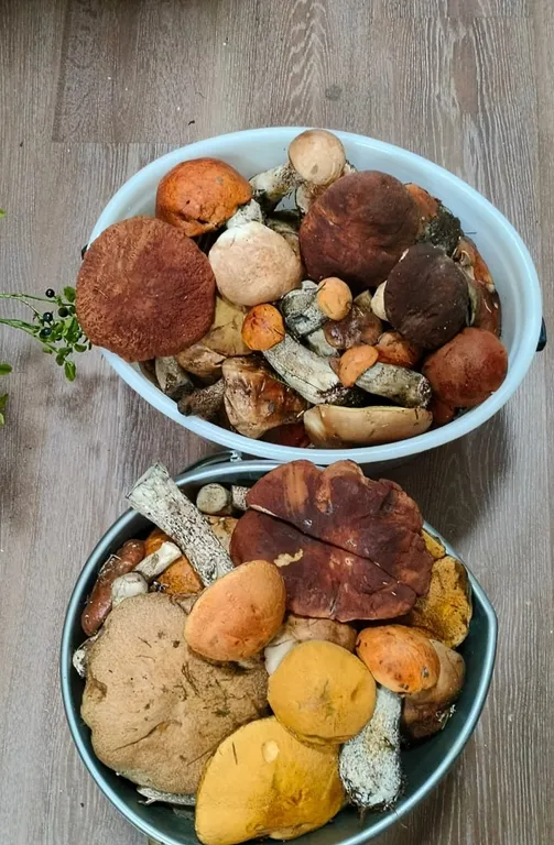 Дом в Карелии на берегу Онежского озера