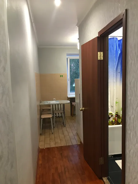 Большая квартира в центре (6 гостей)