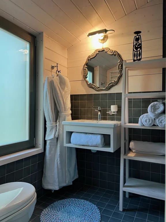 Гостевой дом среди березовой рощи с видом на поле и лес