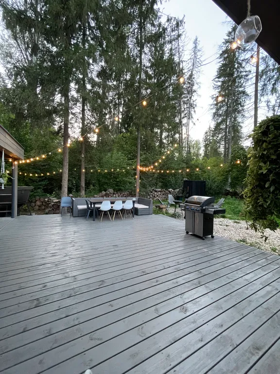 Уютный дом в тишине хвойного леса