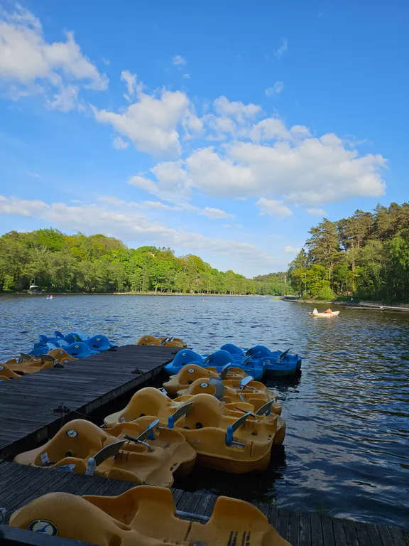 Квартира 1-комнатная Квартира — Светлогорск