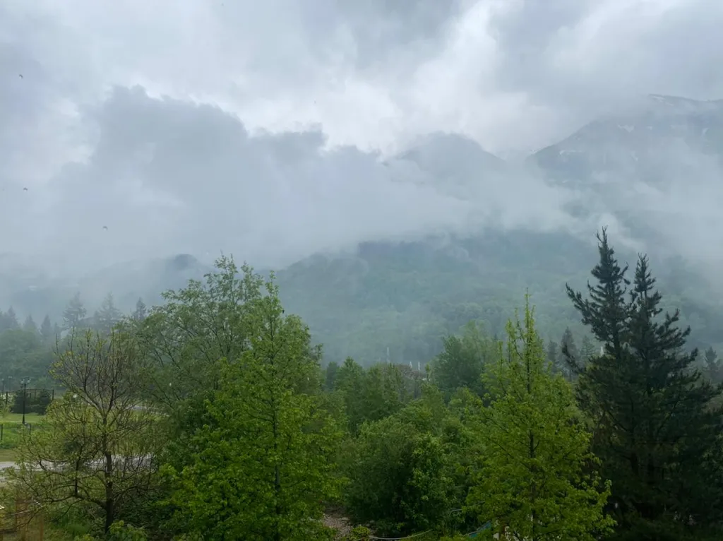 Семейный апартамент с балконом