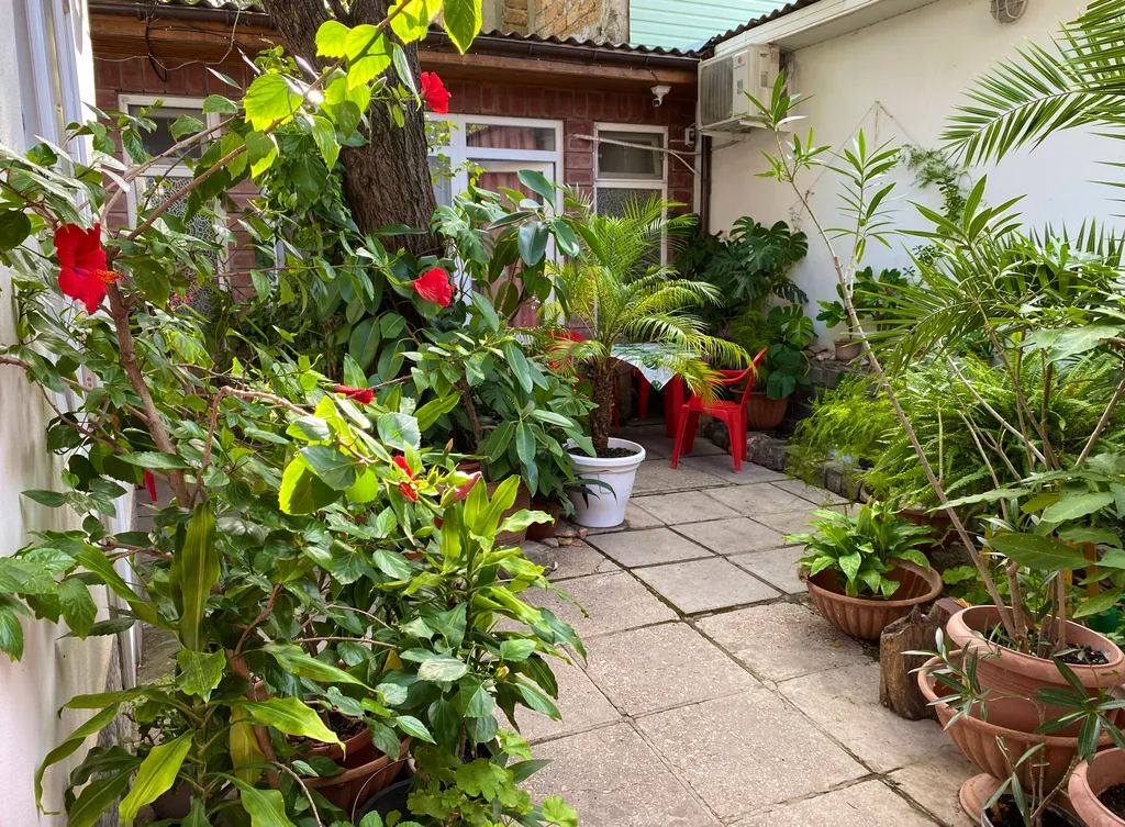 Уютный номер с удобствами рядом с морем