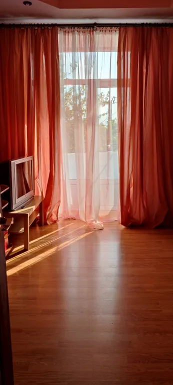 Просторная квартира в центре