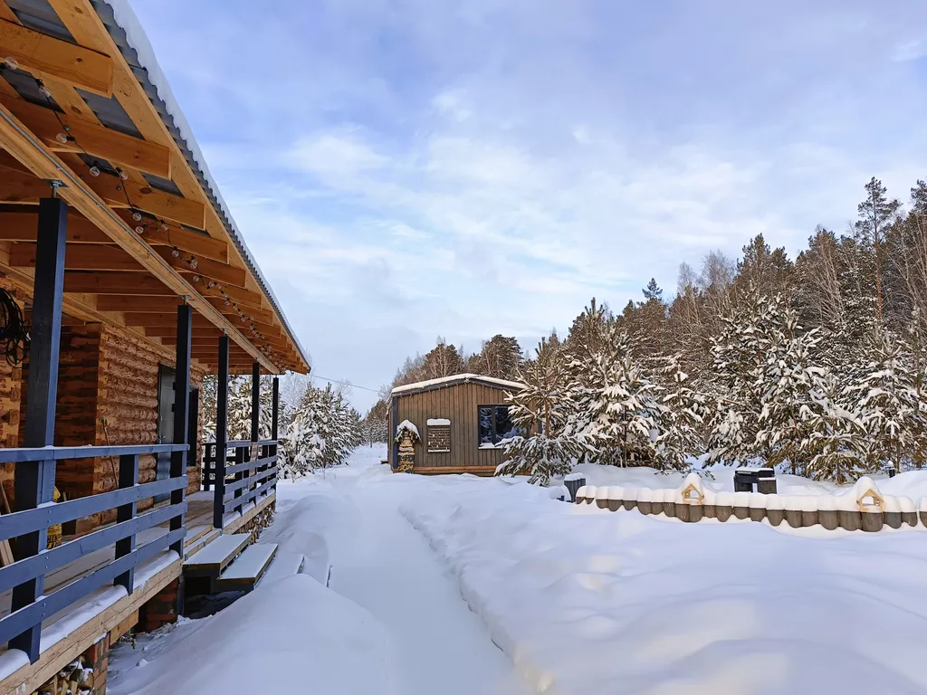 Темный домик на опушке леса