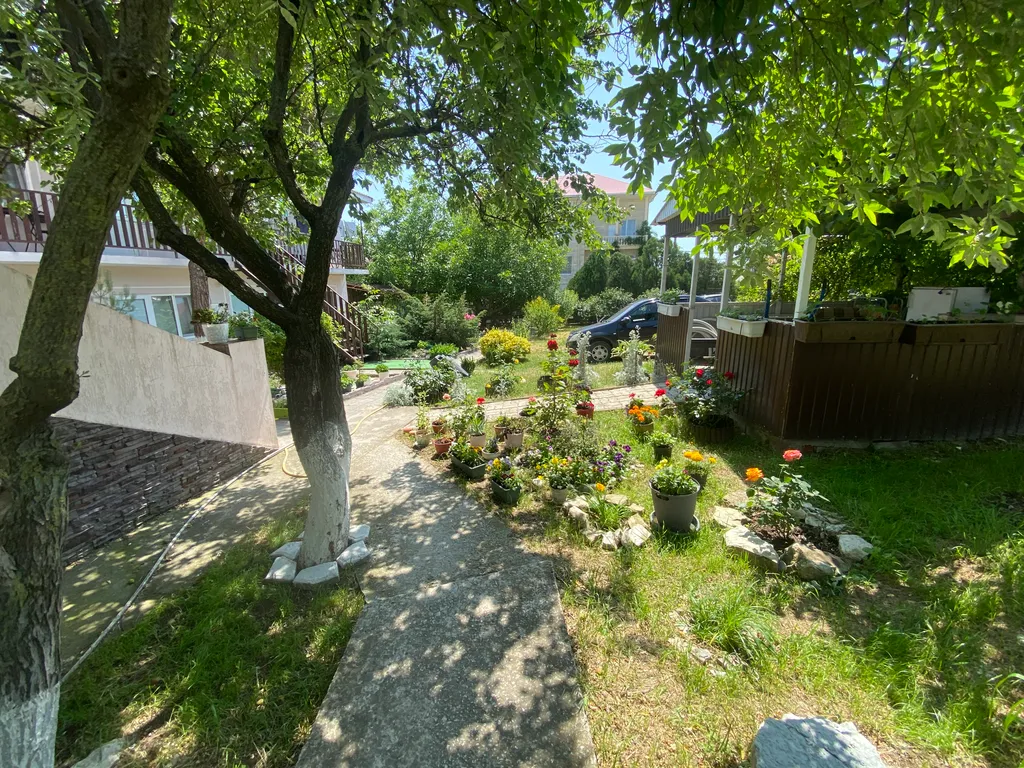 Квартира Квартира В розах и соснах утопает гостевой дом — Геленджик