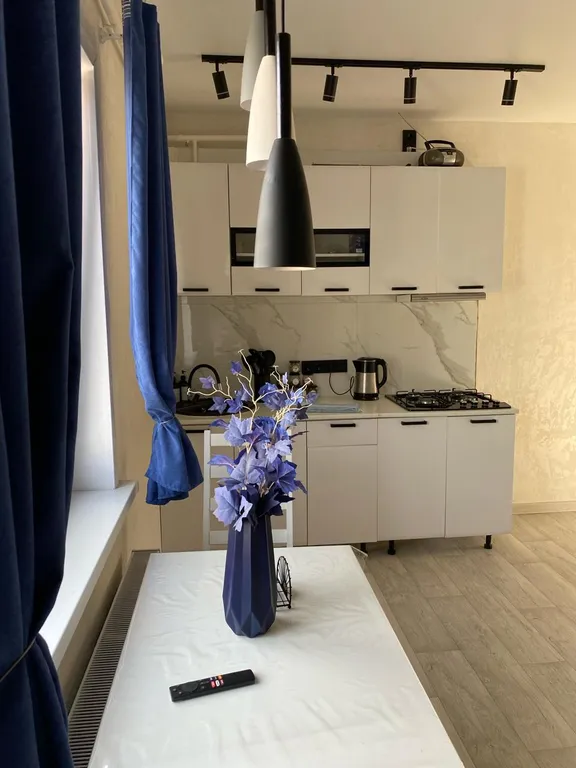 Просторный и современный дом в центре города